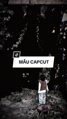 Nhạc này cuốn quá nè mấy ní =)) #CapCut #edit #mẫucapcut #xh #nhachaymoingay #lyrics #capcutmaster 