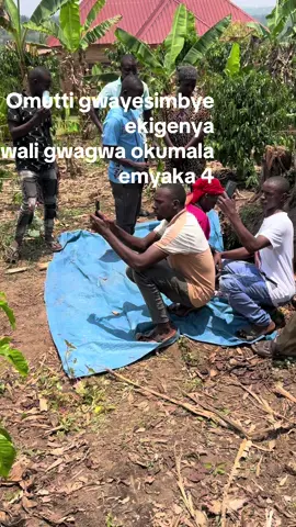 Ekiganyee kitokota omutti gwayesimbye #