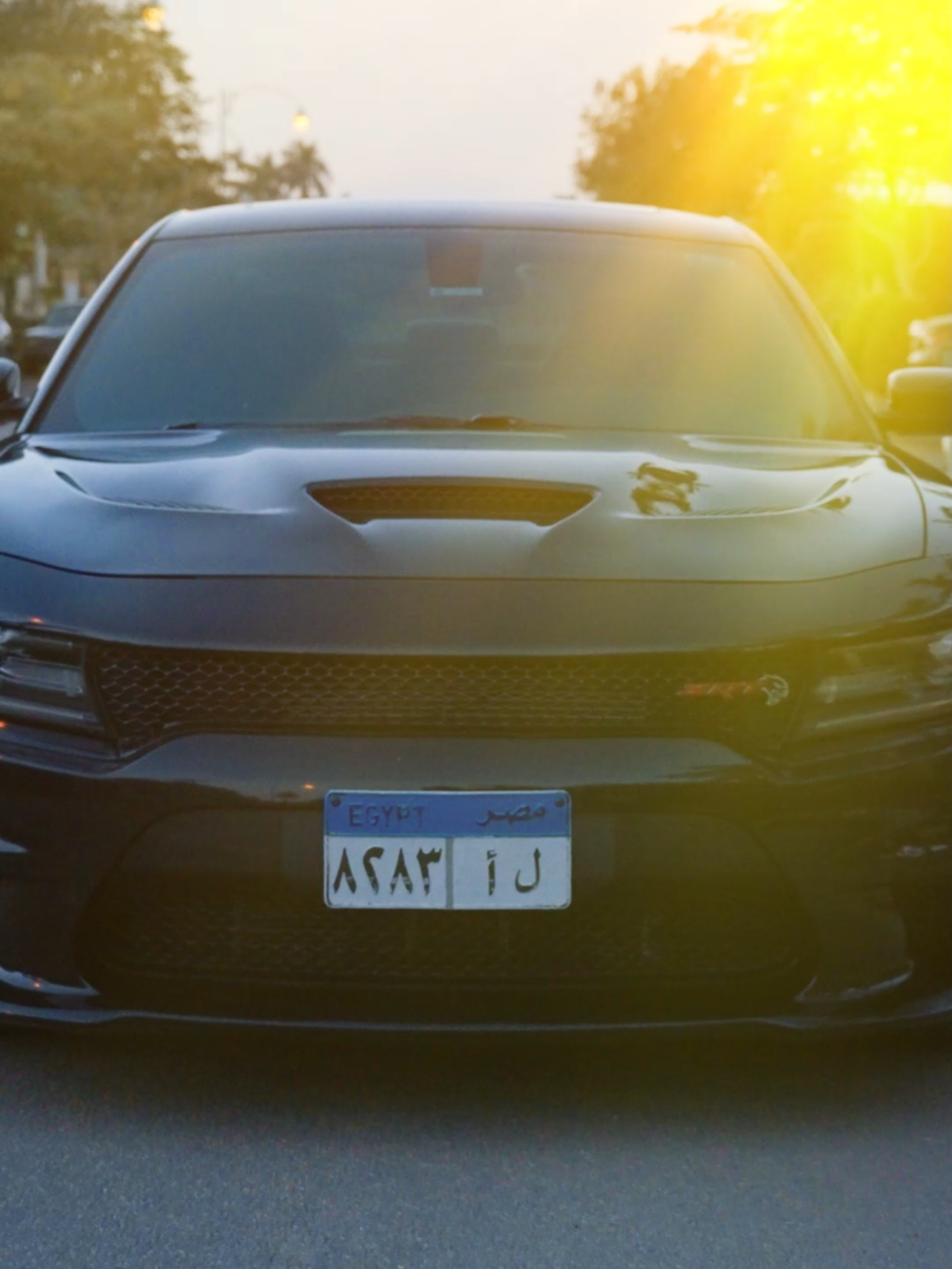 ازاي تعمل شمس زي ديه؟ #videoediting #motiongraphics