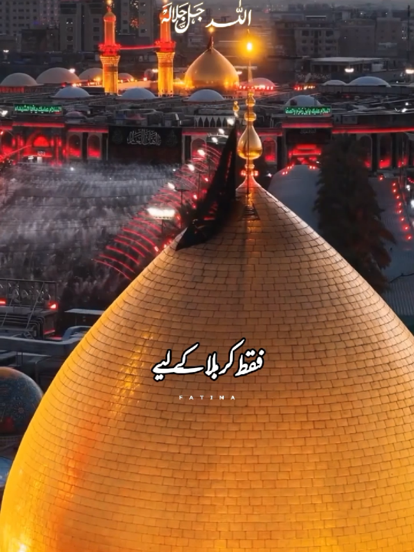 Zakir Shafqat Raza Shafqat #qalabraza03 #qalabraza1214 #qalabraza51214 #foryou#foryoupage❤️❤️ 