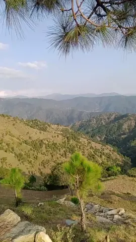 #♥️ #fypage you viral video ♥️#For you 