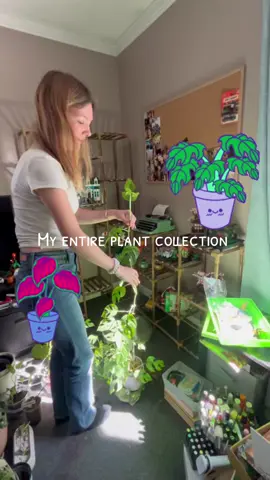 nobody asked for this but I’m doing it #plants #plantcollection #monstera #rareplants #fyp 