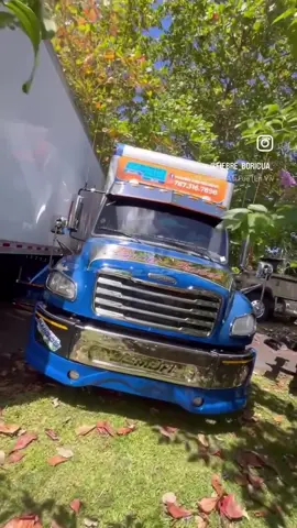 TRANSPORTE DEGROSS #puertorico #freightliner #peterbilt #parati #fyp 