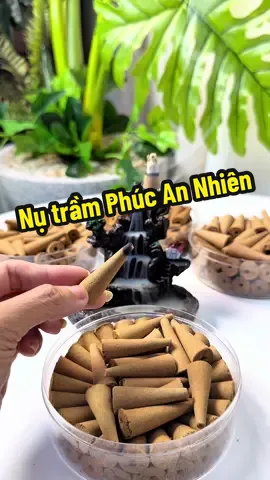 Xông trầm hương giúp thanh lọc không khí,mang lại năng lượng tích cực hơn #nutramhuong #tramhuongtunhien #tramhuong #nutramhuongxongnha #xuhuong  @Thảo còi đây 