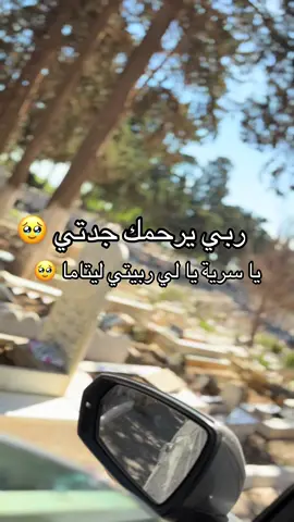 #جدتي #اكسبلور 