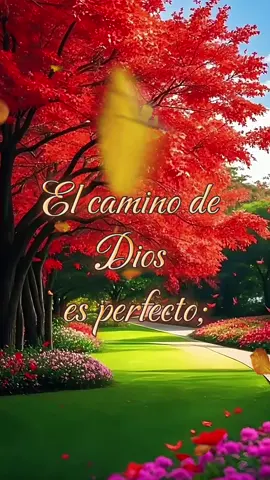 #Dios es perfecto