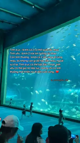 #story #xuhuong #bquyen🌷 #xh #tinhyeu