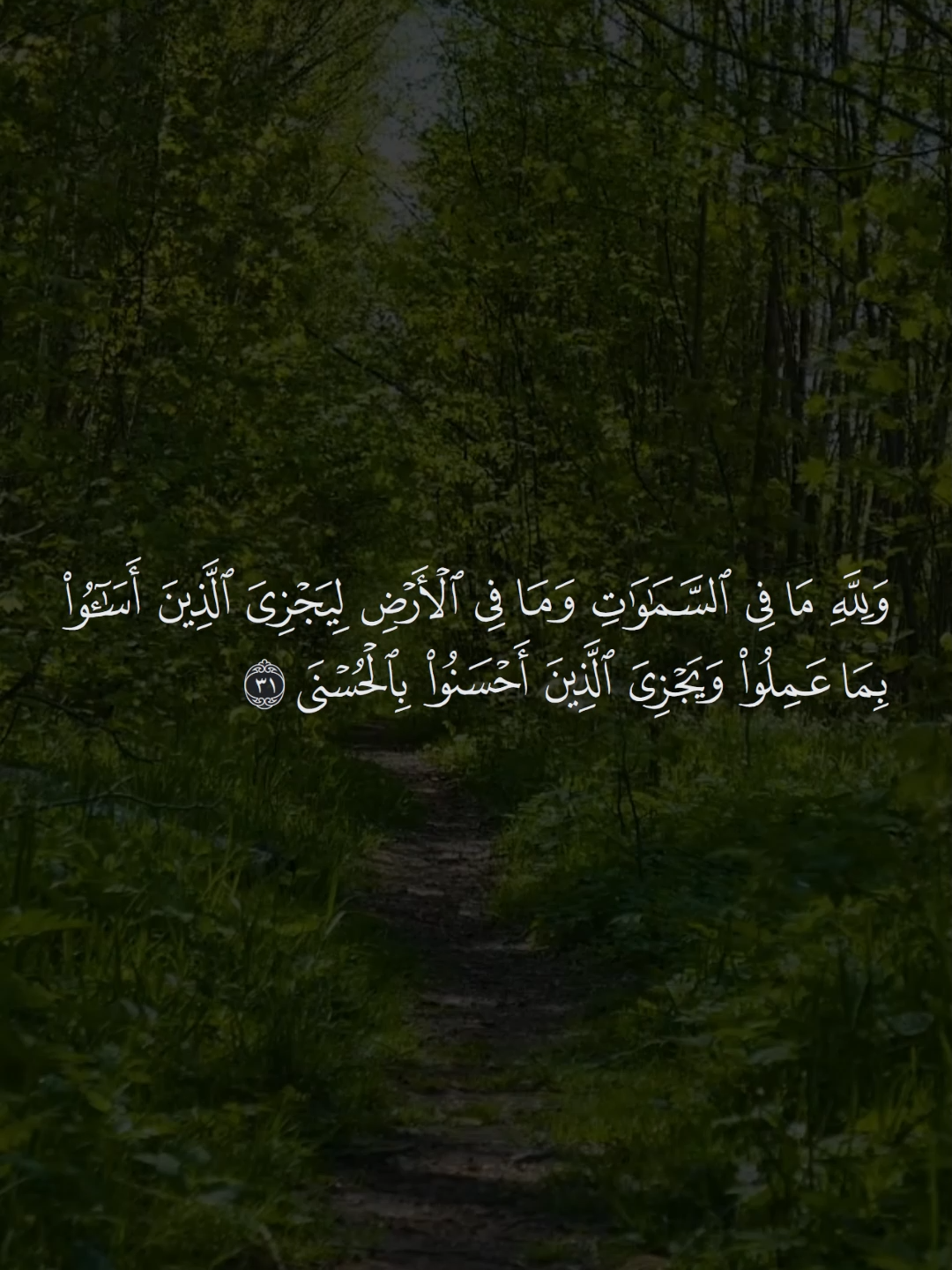 #قرآن_كريم #trending #قران_كريم #عبدالباسط_عبدالصمد_رحمه_الله #viralvideo #viral #اسلاميات #viraltiktok #القران_الكريم #trendingvideo #قوالب_كاب_كات