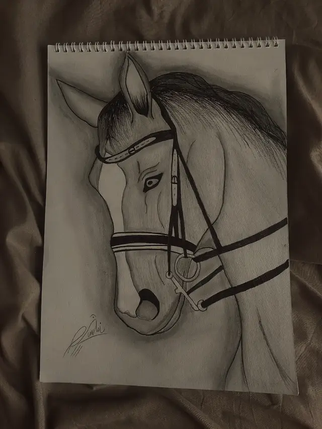 #حزينہ♬🥺💔 #خيل_وخياله🐎 #حقيقة #الم #لايكات 