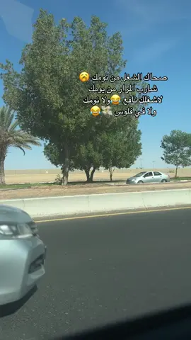 #صحاك الشغل من نومك 😂#مليش_خلق_احط_هاشتاغات🙂 #دوام #😂😂😂 