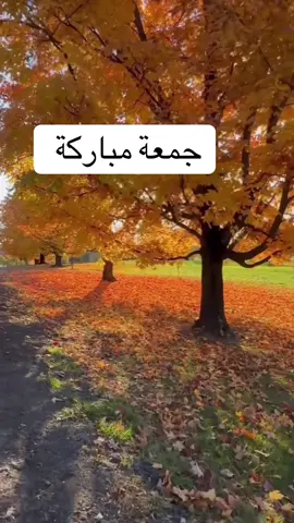 #foryoupage #دعاء_يريح_القلوب #foryou #عرب_امريكا 