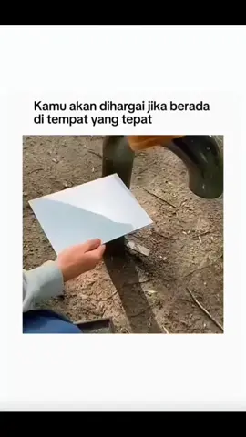 agak laen emang bule bule tuh #funnyvideos #ngakak #foryourpagе #randomious #prank 