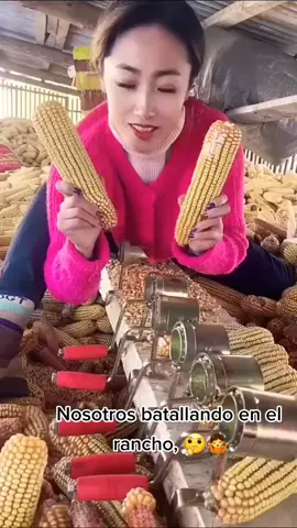 En mis tiempos era a mano #maiz #milpa 