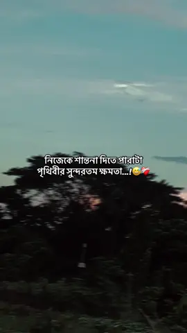 Part 67 | নিজেকে শান্তনা দিতে পারাটা পৃথিবীর সুন্দরতম ক্ষমতা...!😅❤️‍🩹#foryou #tiktok #viral #videos 