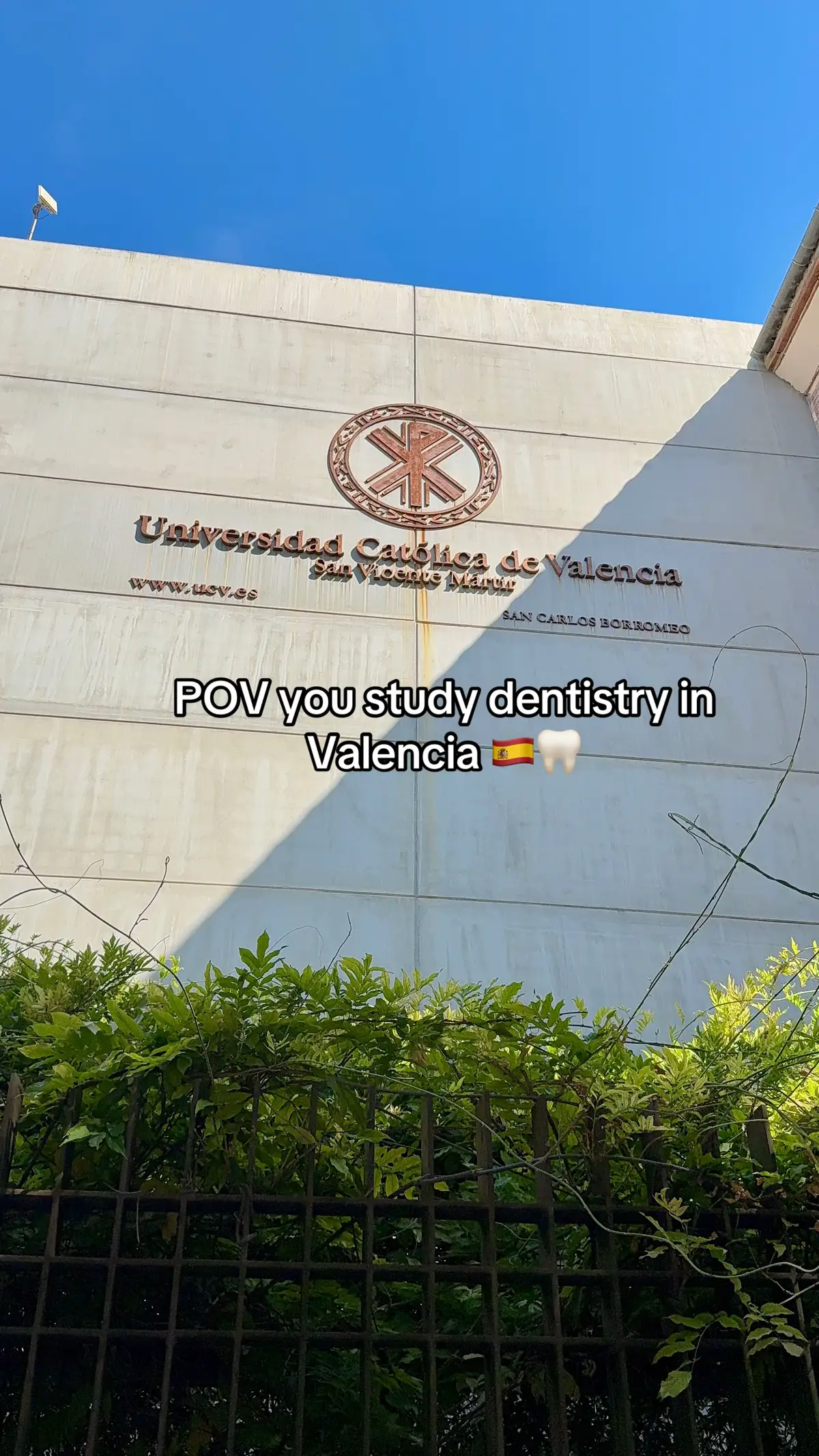 #valencia #dentistry #dentalschool #fyp #spain 