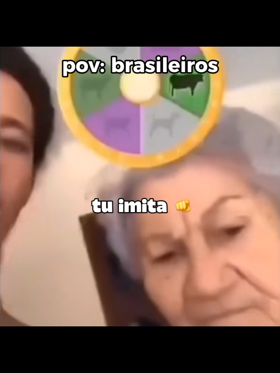 brasileiros #memes #perolasbrasileiras #flp #brasileiro 