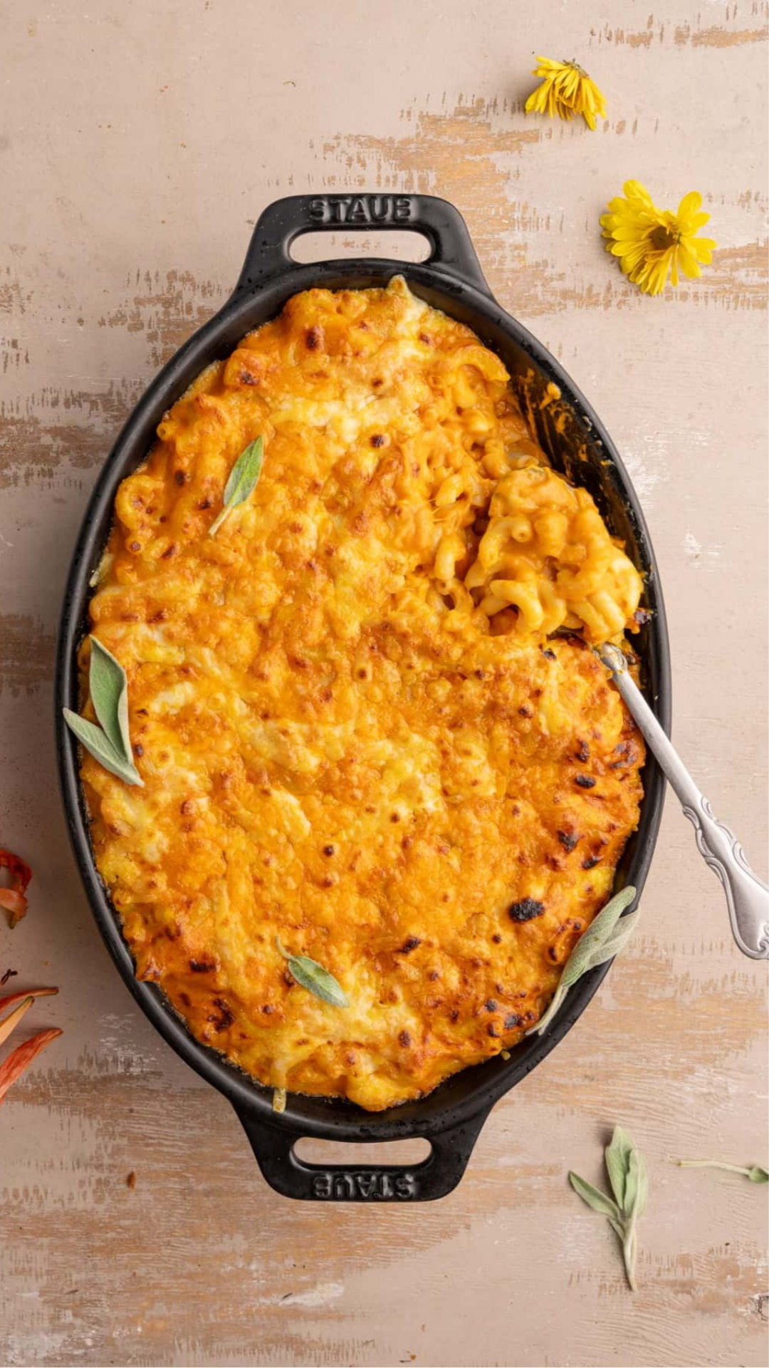 This Easy Baked Pumpkin Mac and Cheese takes creamy macaroni and cheese and infuses it with the rich and comforting flavors of pumpkin.   Easy Baked Pumpkin Mac and Cheese -6 ounces macaroni (or any short pasta) -2 tablespoons unsalted butter -2 tablespoons all-purpose flour -1 cup milk of choice -16 ounces cheddar cheese (I used sharp cheddar) -1 (15-oz) can pumpkin puree -½ teaspoon garlic powder -¼ teaspoon nutmeg -¼ teaspoon black pepper -¼ ounce fresh sage (optional for garnish)   -Preheat your oven to 350°F. -Cook your macaroni al dente according to the instructions on the packaging. -To a large pot over medium heat, add the butter and flour. Form a roux by heating and whisking until the butter is melted and it is combined with the flour. -Add the milk and whisk to combine. -Set aside about ½ cup of cheese for the top and add the rest along with the pumpkin puree, garlic powder, nutmeg, and black pepper. Continue to heat and stir until cheese is completely melted and you have a thick sauce. -Add the cooked macaroni to the cheese sauce and stir to coat. Transfer to a 9×13-inch oval or rectangular casserole dish and top with the cheese you set aside. -Bake for 10 minutes, then turn your oven up to broil. Watch closely and remove when the top starts to brown. -Garnish with fresh sage (optional) and serve hot. #PumpkinMacAndCheese #BakedMacAndCheese #FallComfortFood