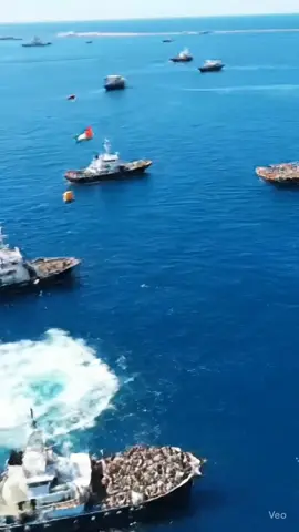 ‎The Sumud Flotilla arrived at Gaza Today 🇵🇸🇵🇸🇵🇸🇵🇸 ‎Stand for humanity. Stand for Palestine. ‎ ‎#globalsumudflotilla #LoveYouPalestine #FreePalestine #CatForPalestine #PalestineWillBeFree #StandWithPalestine #JusticeForPalestine #GazaUnderAttack #ViralVideo #EmotionalSupport #FYP #ForYou #TrendingNow #ResistWithLove #HopeForGaza #PrayForPalestine  ‎ ‎