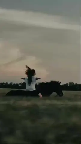 horse beautyyy💖💕💕💕💕💕💖💖fypppppptiktokgrowwwwwwfolllowwwwww