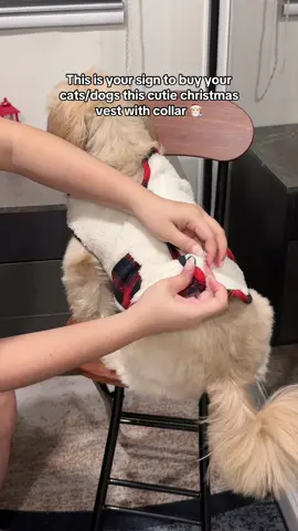 very affordable outfit for christmas 🥰 #christmasoutfit 