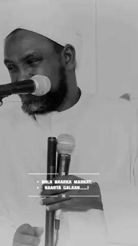 10 qof udir ajar ayaad ka heli doonta🥹🤲🤍#wacdi #sheikhxussencalijabuti #viralvideos 