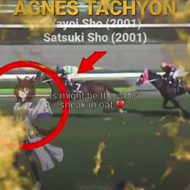 YES I made ts entire edit just to slander tachyon 🥹 #fyp #xyzabc #agnestachyon #umamusume #umamusumeprettyderby  @zalicos @wide pa san @FRΩӜ̵̨̄ 