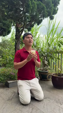 Xin gì cũng phải thành tâm #huynhhuyhoang #windnet 