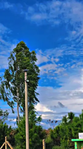 #အဖြူ၂ကောင်ရှယ်လှ #ဉထားတာ🤍 #ငါသေမှပဲfypပေါ်ရောက်မှာလား😑😑 #wave110izoneสุรินทร์🖤🇹🇭 #သဲကုန်းရွာမှကြိုဆိုပါတယ်🥰 
