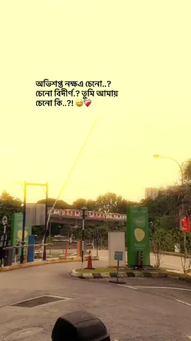 অভিশপ্ত নক্ষএ চেনো..? চেনো বিদীর্ণ.? তুমি আমায় চেনো কি..?! 😅❤️‍🩹 #highlight #foryoupage #fyppppppppppppppppppppppp #@TikTok Bangladesh #@TikTok #😅 #💔 