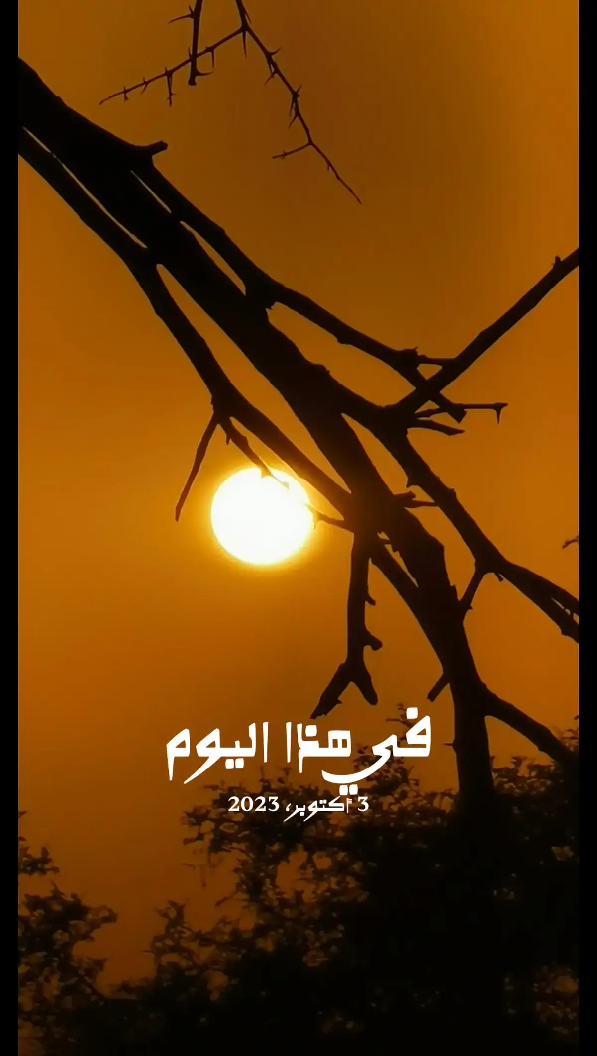 #في هذا اليوم