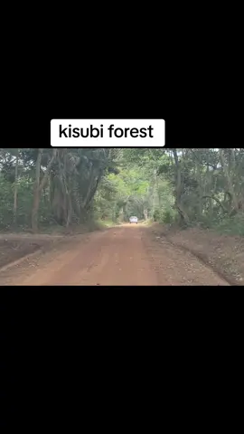 dream walker transporters #foryou #cpm #foryoupage #dreamWalker 