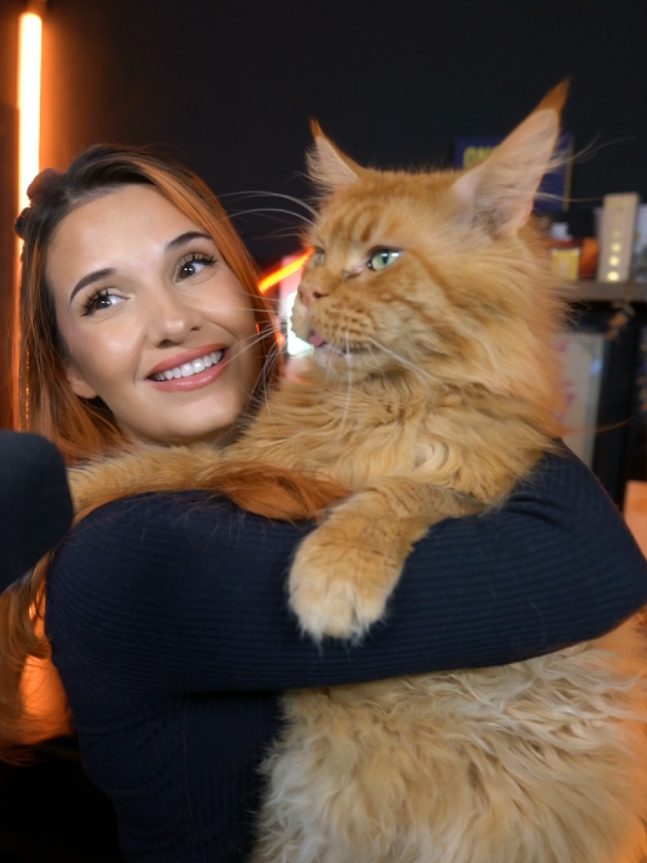 Silksong cosplay incoming