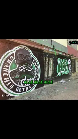 #mobejaia🖤💚 #mobejaia🖤💚♓ #mobejaia💚🖤💪🦀 #ultras_granchio_💚🖤 #ultrasgranchio 