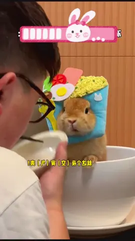 😘🥰#bunny #rabbits #cutebunny #pet #cute 