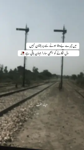 بچھڑ گئے تو یہ دل عمر بھر لگے گا نہیں لگے گا ، لگنے لگا ہے پر لگے گا نہیں #viewsproblem  #standwithkashmir  #viralvideo  #foryoupageofficiall  #viralvideotiktok 
