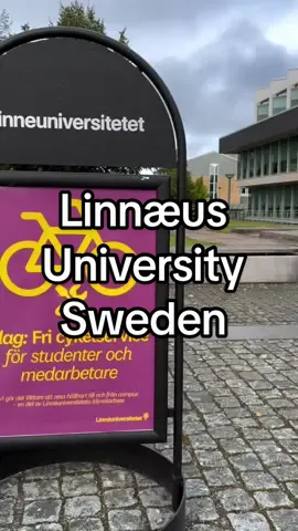 Linnæus University Sweden paling international paling generous bagi scholarship 