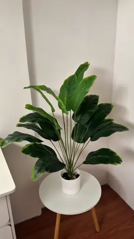 aesthetic artificial plant 🌱  #roomdecor #aestheticplants #artificialplants #plants #roomdisplay 