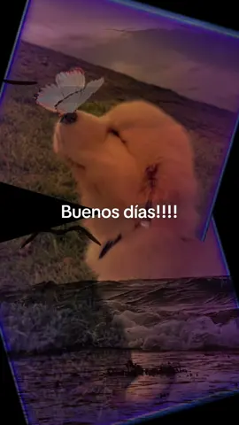 Feliz día!!! Que tengan todos un bonito día!!! #buenosdias  #felizdia 