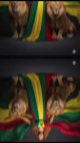 #sénégal 