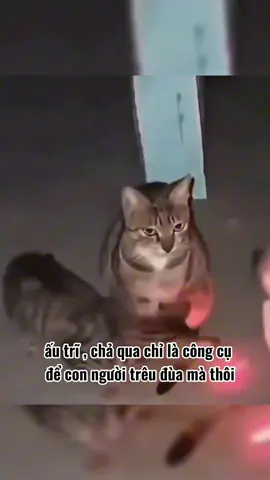 nam nhân trưởng thành sẽ không bao giờ bị phụ nữ trêu đùa 😌😌#fyp #funny #haihuoc #viral #xuhuong 