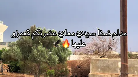 🔞🖐🏿##الشعب_الصيني_ماله_حل😂😂 #بنغازي_ليبيا🇱🇾 #المبني #شحات_سوسه_راس__البيضاء_طبرق_ليبيا #عباراتكم_الفخمه📿📌 