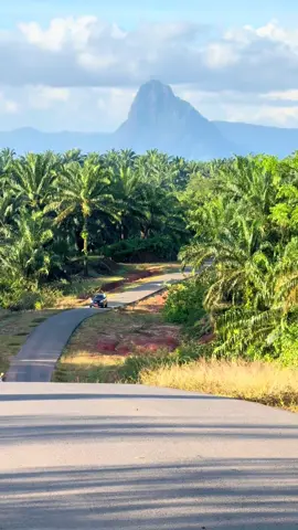 Gunung bungkuk Bengkulu tengah😶‍🌫️  #rachmatriyanto #membangundaribawah #gunungbungkuk 