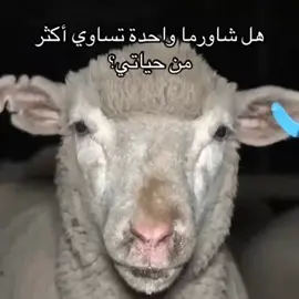 #foryou #fyp #viralvideo #explore #viral 