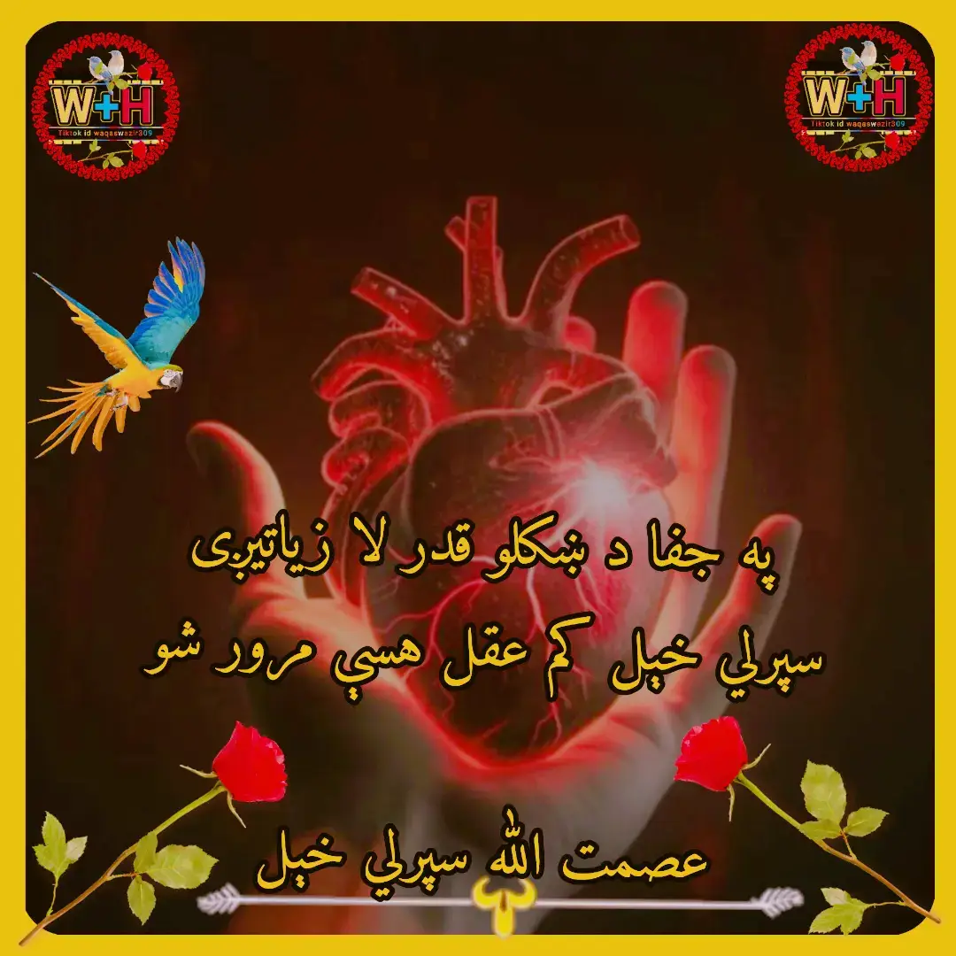 ګېر چاپیره خلک شته انسانان نشته  په هېچا کښې هېڅ تاثير د درمان نشته  ژوند می ډک دی د بې نومه خالي توب نه هېڅ باور می په ملا په شيطان نشته  زۀ د دې ښار واړه ښکلي پيژندمه خو په يو کښې هم خوږلت د جانان نشته  شته زلمي د جينکو په وار پيدا دي په دې خاوره ننګيالي شاه زلميان نشته  دلته ډېر د کتابونو صاحبان شته خو د فکر د نظر صاحبان نشته  هر څوک غم د خپلې ګټې دي اخيستي  خو هيچا ته هېڅ احساس د خپل زيان نشته  تۀ پۀ څۀ د قام غمخور شولی توربازه!  ستا خو هېڅ مبارزه په ميدان نشته  وقار احمد تورباز ، نوی کلام کلام … @⁨~💀