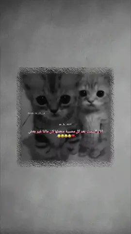 انا والبيست بعد كل مصيبة منعملها لأن مالنا غير بعض 💔😂 . . . . . #الشعب_الصيني_ماله_حل😂😂 #تصميمي #ستوريات #اكسبلور #اعادة_النشر🔃 