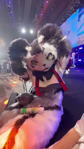 Very cute ! ( x: supi_0307 ) #furry #cute #fyp #fur #fursuit 