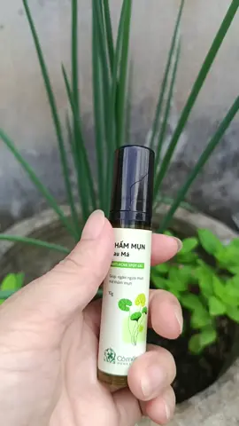 Chấm mụn rau má cỏ mềm giúp làn da sạch mụn giảm thâm hiệu quả lành tính. #comem #comeminhvietnam #chammun #trimun #trimuntritham @Phượng Hằng Bùi @Phượng Hằng Bùi @Phượng Hằng Bùi 