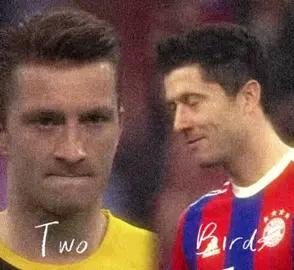 Love both of them ❤️ #fyp #viral #dortmund #reus #lewandowski 