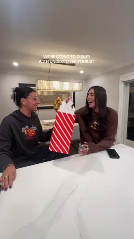 Chip & Dale loading … 🤭🐿️🎡🎠🎟️ @Undercover Tourist 