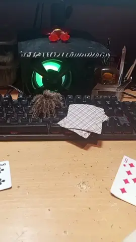 я проиграл:(